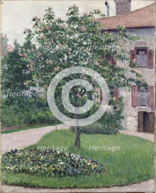 Tree in Blossom, 1882. Creator: Caillebotte, Gustave (1848-1894).