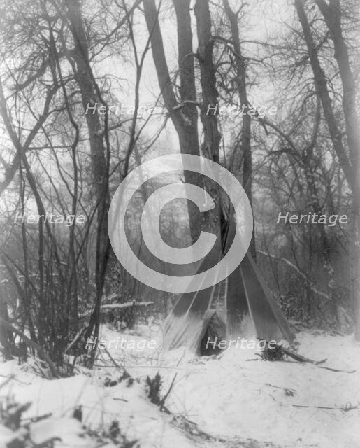 In the forest, c1908. Creator: Edward Sheriff Curtis.