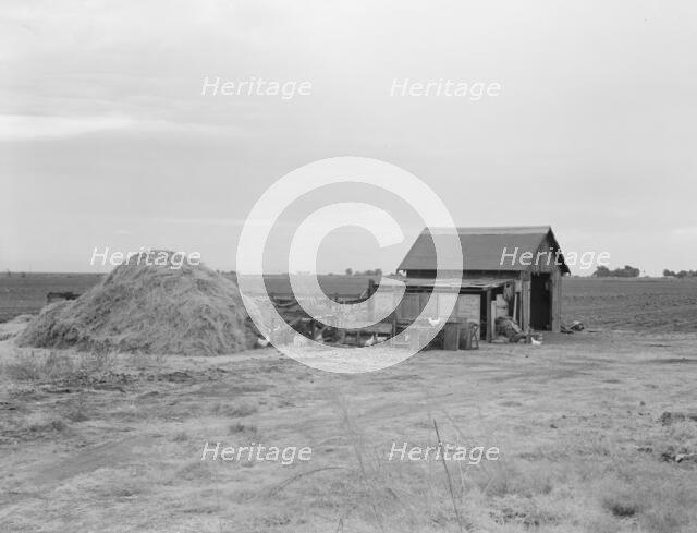 Small farm, Kern County, California, 1938. Creator: Dorothea Lange.