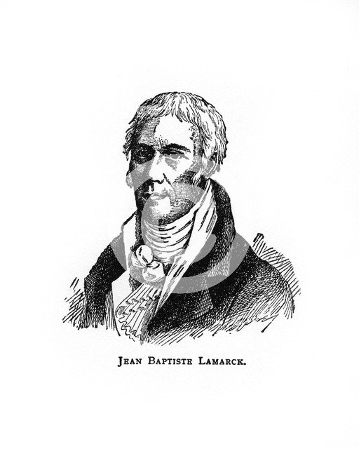 Jean-Baptiste Lamarck, French naturalist, (20th century). Artist: Unknown