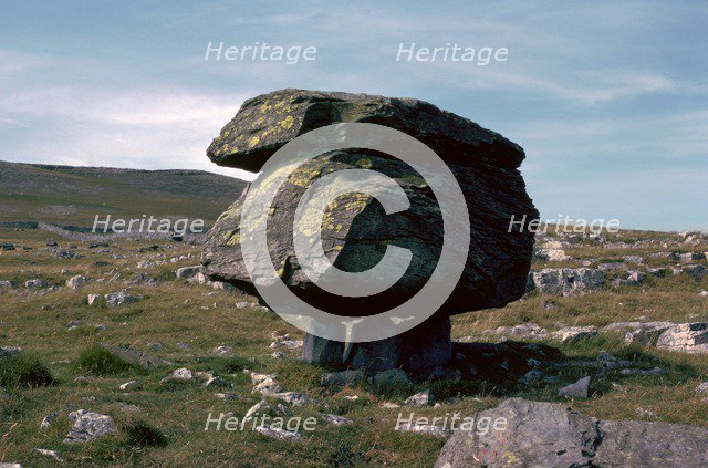 Glacial Erratic block of Silurian grit.
