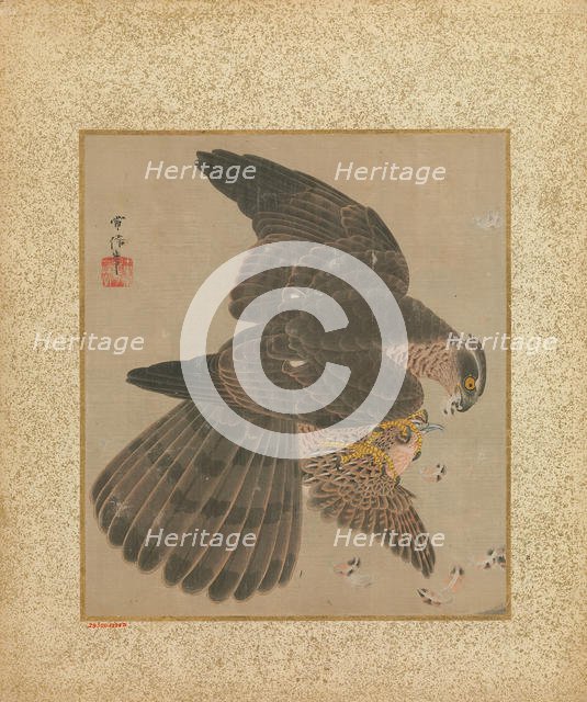 Album of Hawks and Calligraphy, 17th-18th century. Creator: Kanô Yôboku Tsunenobu.