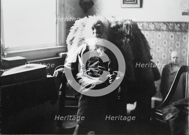 Walt Whitman in Camden, N.J., c. 1891. Creator: Thomas Eakins.