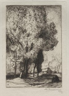 Bourrine dans les Peupliers, 1911. Creator: Auguste Louis Lepère (French, 1849-1918).