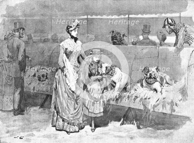 'Among the Bulldogs at the Kennel Club Show', 1886.  Creator: Unknown.