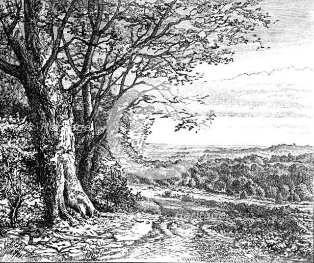 Autumn from Bramble Hill: from "Autumnal Leaves" (Sketches in the New Forest), 1881. Creator: James Davis Cooper.