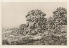 Oaks near a Pond, 1852. Creator: Eugene Blery.