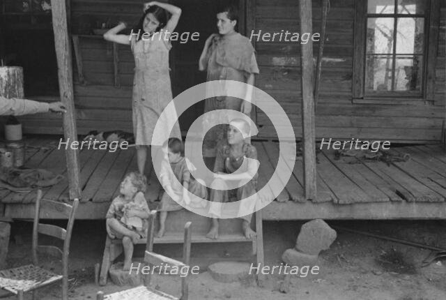 Tengle children, Hale County, Alabama, 1936. Creator: Walker Evans.