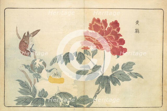 Illustration from "Pictures of Imported Birds", 1790. Creator: Kitao, Masayoshi (1764-1824).