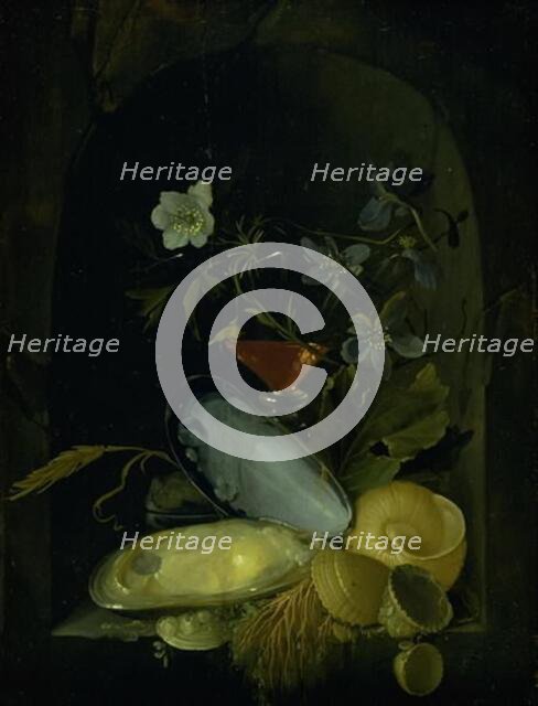 Still Life with Cockleshells and Blue Anemones, 1650-1681. Creator: Frans van Mieris.