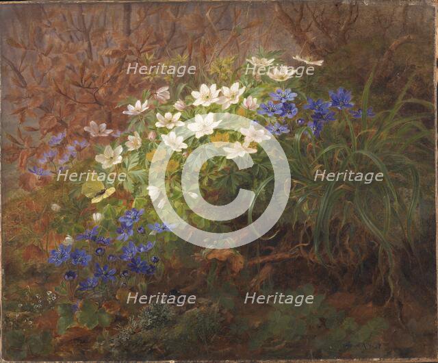 Anemones, 1867. Creator: Anthonie Leonore Christensen.
