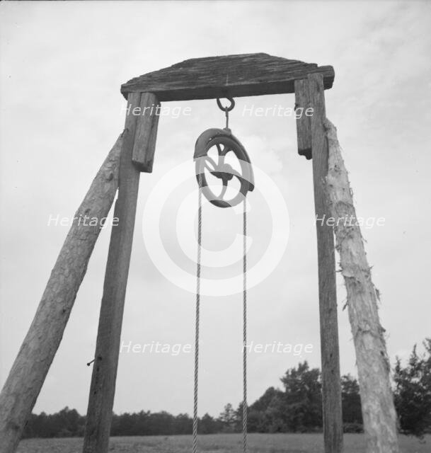 Possibly: Negro sharecropper tobacco farm, Person County, North Carolina, 1939. Creator: Dorothea Lange.