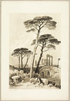 Stone Pines, from The Park and the Forest, 1841. Creator: James Duffield Harding.