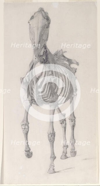Finished study for 'The Second Anatomical Table of the Skeleton of the Horse', 1756. Creator: George Stubbs.