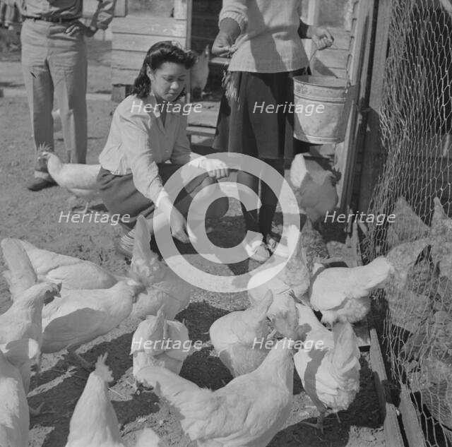 Bethune-Cookman College, Daytona Beach, Florida, 1943. Creator: Gordon Parks.