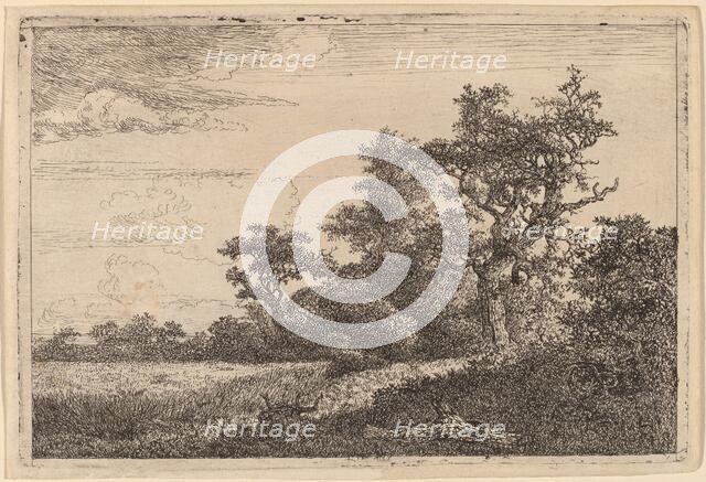 Grain Field at the Edge of a Wood (Corn Field). Creator: Jacob van Ruisdael.
