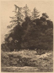 Daims dans un Parc. Creator: Karl Bodmer.