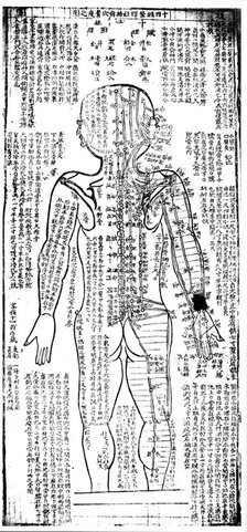 Acupuncture chart for the rear of the body, Japanese, 19th century. Artist: Unknown