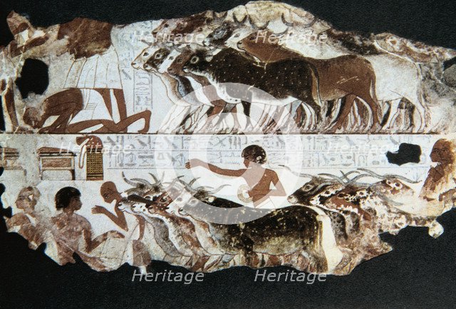 Wall painting from the tomb of Nebarunun, Thebes, Egypt, c1350 BC. Artist: Unknown