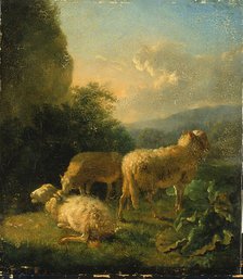 Sheep, late 18th-early 19th century. Creator: Balthasar Paul Ommeganck.