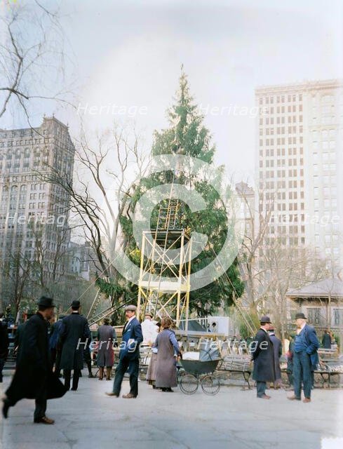 Xmas tree in Madison Sq. Park, N.Y.C., between c1910 and c1915. Creator: Bain News Service.