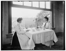 Window in girls' restaurant, National Cash Register, Dayton, Ohio, c1902. Creator: William H. Jackson.