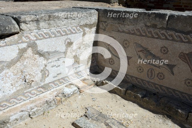 A fish mosaic in the Roman ruins at Milreu, Portugal, 2009. Artist: Samuel Magal