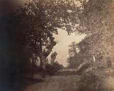 Fontainebleau, chemin sablonneux montant, ca. 1856. Creator: Gustave Le Gray.