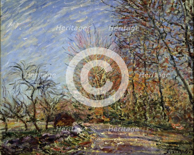 'At the edge of the forest in Fontainebleau', 1885.  Creator: Alfred Sisley.