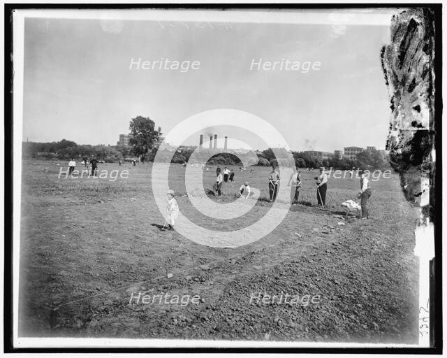National Emergency Food Garden, between 1910 and 1920. Creator: Harris & Ewing.