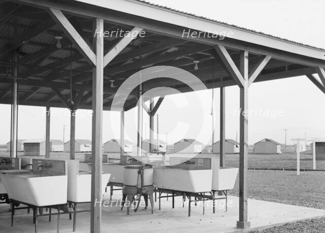 Laundry facilities at Westley camp for migratory labor, San Joaquin Valley, California, 1938. Creator: Dorothea Lange.