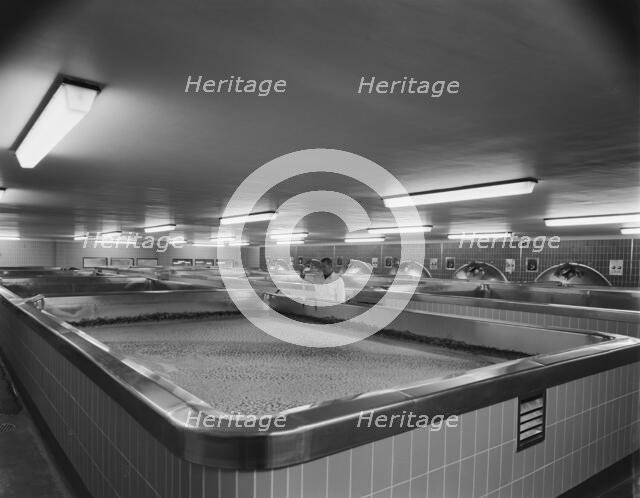 Harp Lager Brewery, Drayman's Way, Manor Park, Alton, East Hampshire, Hampshire, 04/07/1963. Creator: John Laing plc.