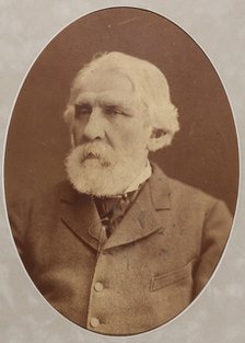 Portrait of the author Ivan Sergeyevich Turgenev (1818-1883), 1879.