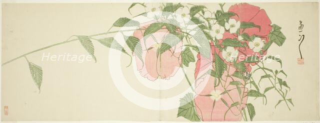 Flowers, early 19th century. Creator: Sato Suiseki.