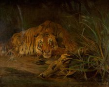 Tiger And Prey, 1931. Creator: Cuthbert Edmund Swan.