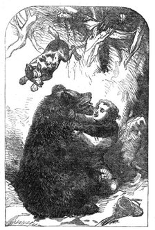"The Young Yachtsmen:" Granville and the Bear, 1864. Creator: Unknown.