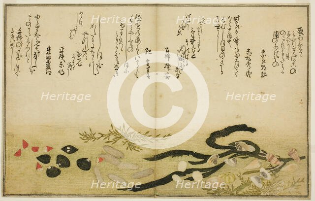 Minashi-gai, shio-gai, katatsu-gai, miso-gai, chijimi-gai, and chigusa-gai, from the illus..., 1789. Creator: Kitagawa Utamaro.