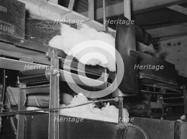 Cotton from the bale is transported by belt to...making cotton bats, Laurel, Mississippi, 1939. Creator: Dorothea Lange.