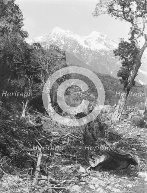 Near accommodation house, Otira, West Coast Road, c.1880. Creator: Burton Brothers.