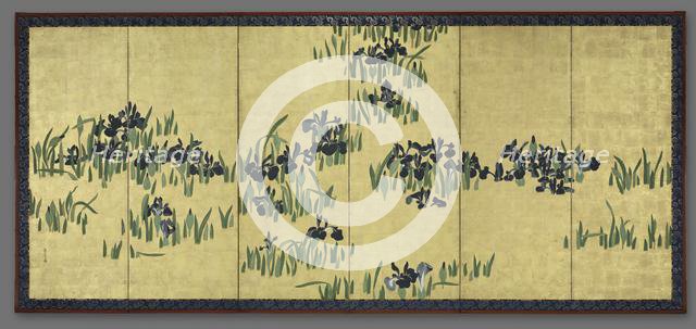 Irises, 1700s. Creator: Watanabe Shik? (Japanese, 1683-1755).