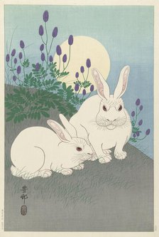 Rabbits at full size, 1920-1930. Creator: Ohara, Koson (1877-1945).