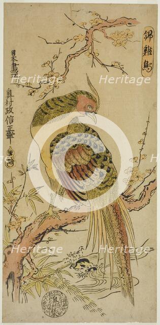 Golden Pheasant (Kinkeicho), c. 1720/25. Creator: Okumura Masanobu.