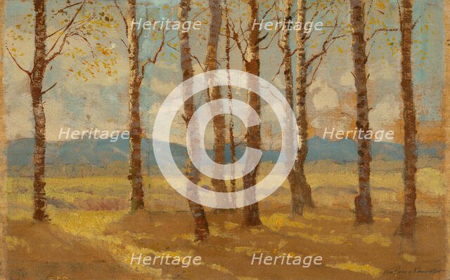 Birches in Autumn, 1900-1910. Creator: Ferdinand Katona.