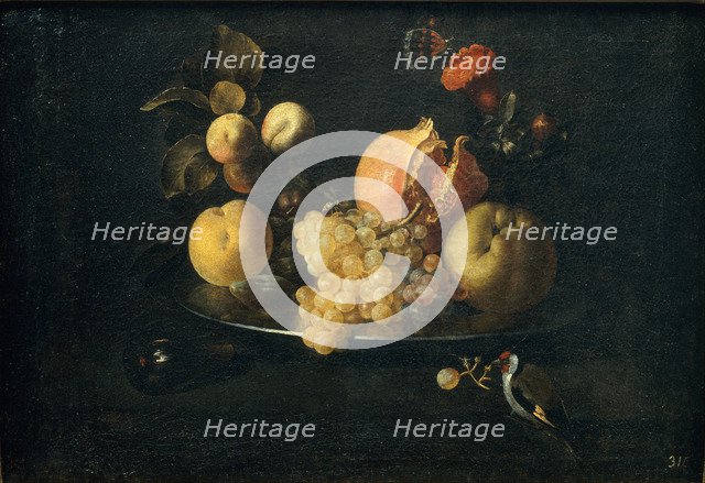 Still Life with Fruit and Goldfinch. Artist: Zurbarán, Juan de (1620-1649)