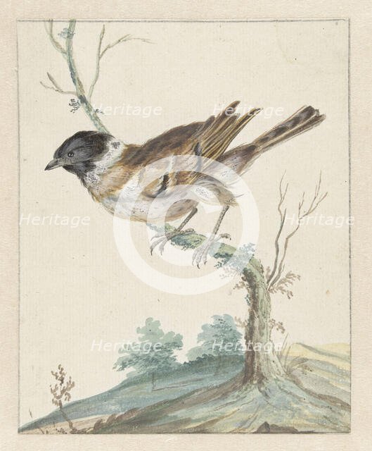 Reed bunting (?), 1650-1719. Creator: Jan Weenix.