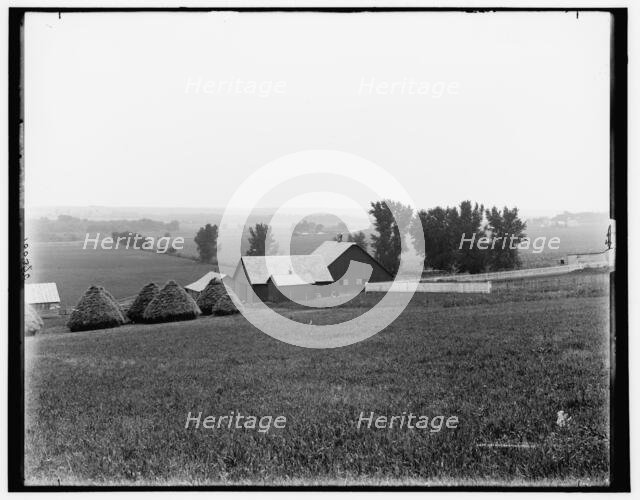 Farm scene near Arion, Boyer Valley, Iowa, c1898. Creator: Unknown.