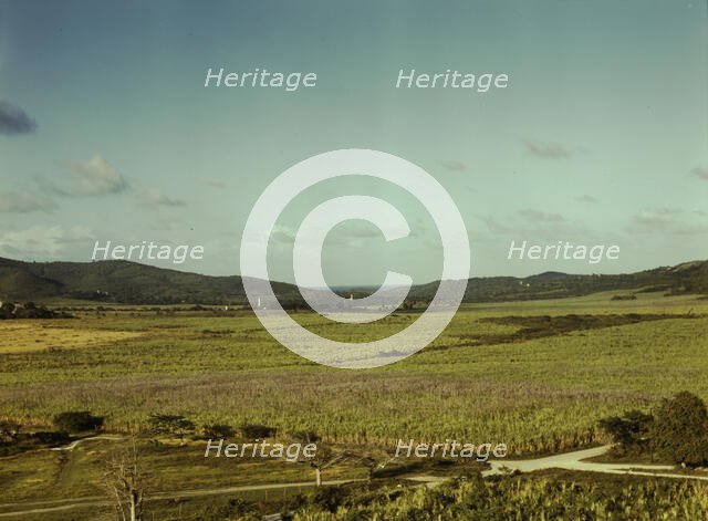 Sugar cane land, Yabucoa Valley? Puerto Rico, 1941. Creator: Jack Delano.