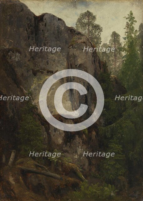 Study of a Ravine, probably 1851. Creator: Herman August Cappelen.