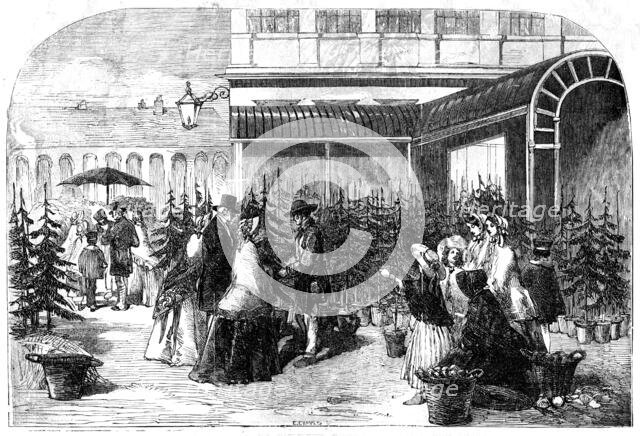 Christmas Trees in Covent Garden Market, 1854. Creator: Edmund Evans.