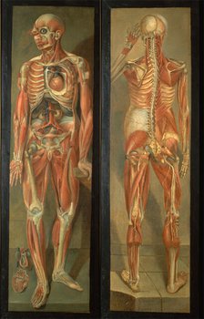 Two anatomical figures, 1764/1765.. Creator: Jacques Fabien Gautier Dagoty.